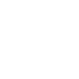 Real Federación Española de Fútbol